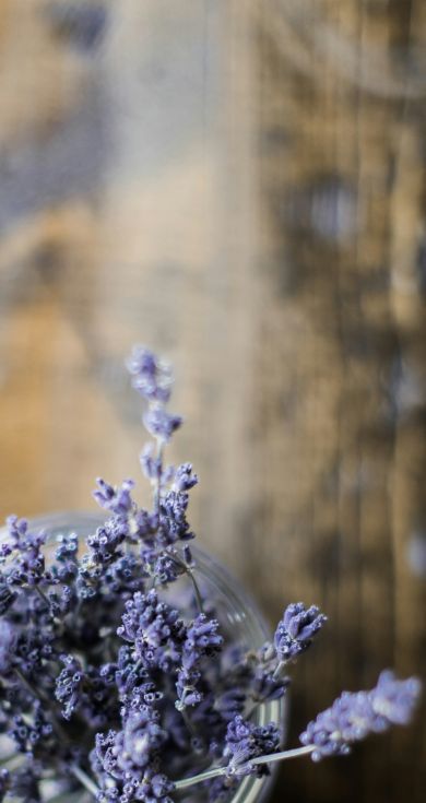 פרחים בצבע סגול בתוך צנצנת