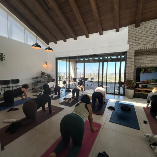 קבוצה של נשים מתאמנות ועושות מתיחות בסלון של בית על מזרנים כחול שחור ואדום