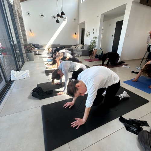 קבוצה של נשים מתאמנות ועושות מתיחות בסלון של בית על מזרנים כחול שחור ואדום