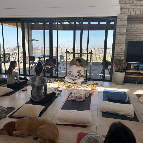 סדנאת הילינג מעוברת בסלון אשר בתמונה מדריך ההילניג יושב על מזרן ולידו כל הכלים הקשורים על הילניג ולידו יושבות נשים על מזרנים אשר מקשיבות למדריך ומאחוריהם שוכב כלב בצבע חום