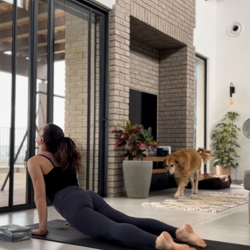 תמונה של מתאמנת אשר עושה מטיחות על מזרן בבית ולידה בסלון כלב בצבע חום מתהלך