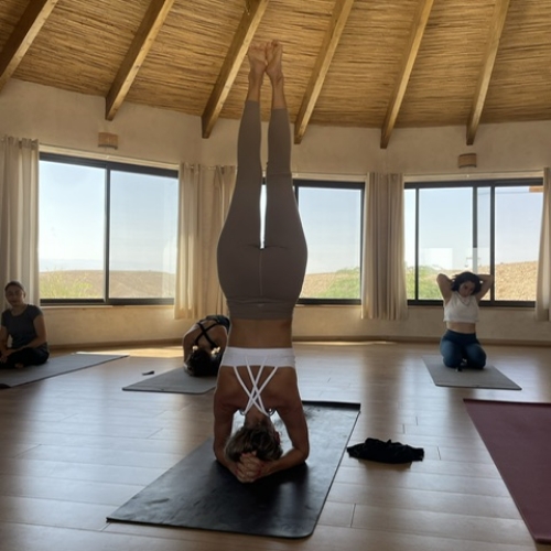 קבוצה של מתאמנות אשר יושבת על מזרים ואחת מהן עושה עמית ראש על מזרן