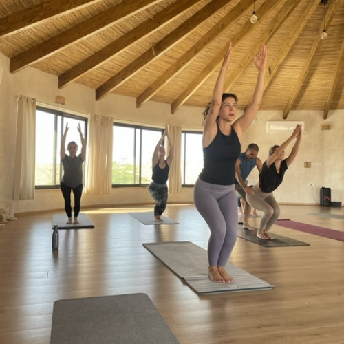 קבוצה של מתאמנות עושות מתחיות על מזרנים